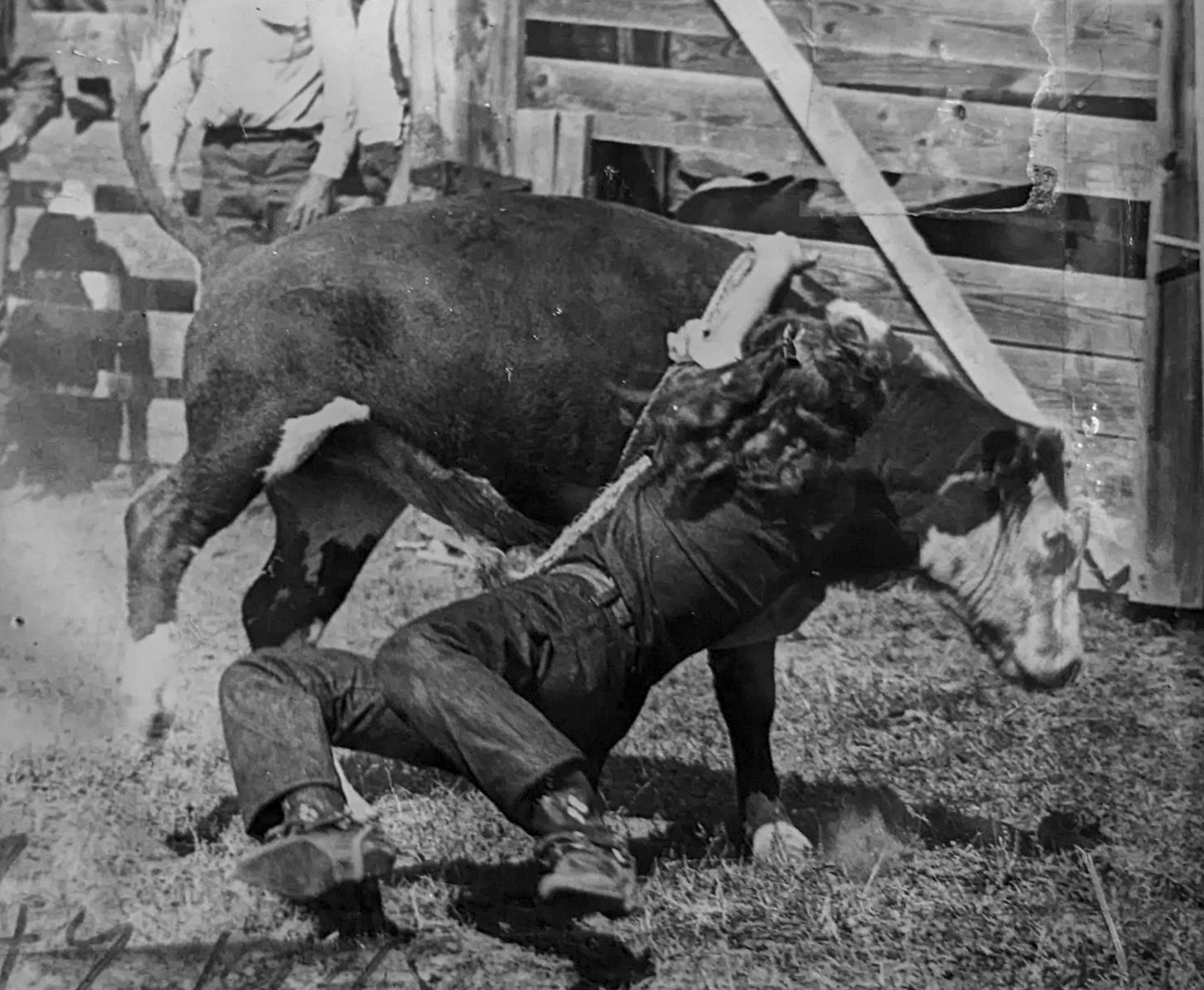rodeo